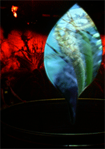 exhibit lighting design